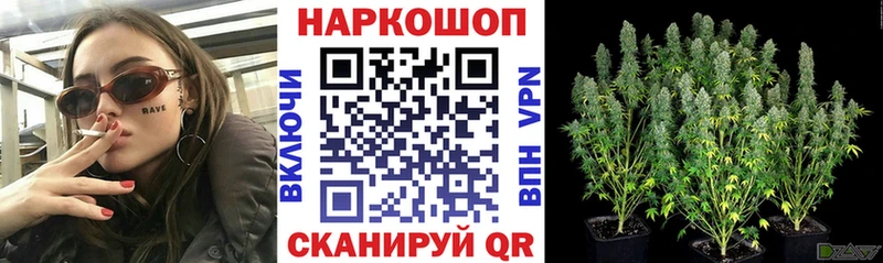 Купить закладку СК  Канабис  Меф  ГАШИШ  Cocaine  Вытегра