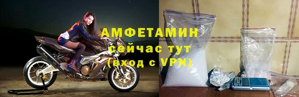 мдпв Богданович