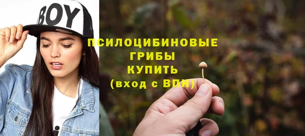 ECSTASY Богородицк