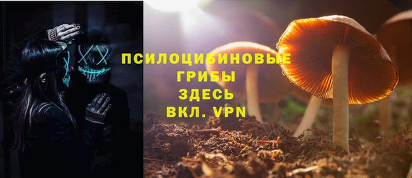 ECSTASY Богородицк