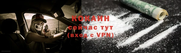 ECSTASY Богородицк