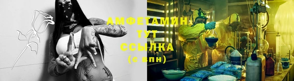 ECSTASY Богородицк