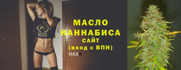 ECSTASY Богородицк
