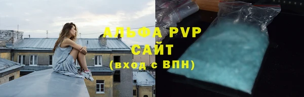 ECSTASY Богородицк