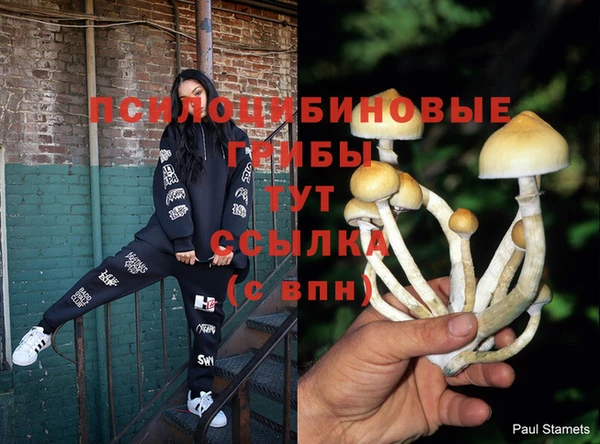 MDMA Premium VHQ Богородск