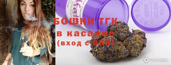 ECSTASY Богородицк