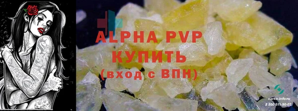 ECSTASY Богородицк