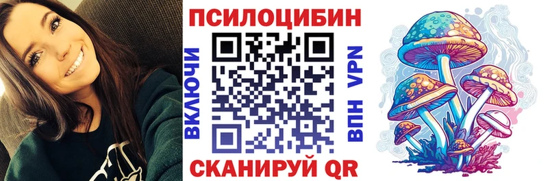 Купить закладки  Вытегра  Псилоцибиновые грибы мицелий 